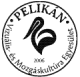 Pelikán Vizuális- és Mozgáskultúra Egyesület